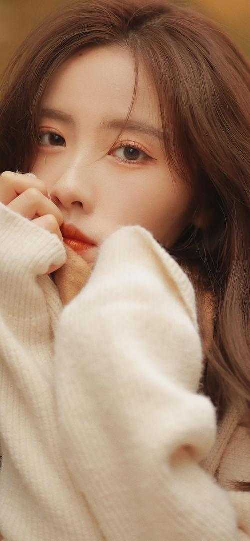 予风予月不予你最新