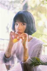 日暮不思归推荐